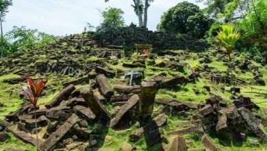 Pemerintah melarang study tour ke luar daerah, pengusaha travel Cianjur minta evaluasi wisata lokal.