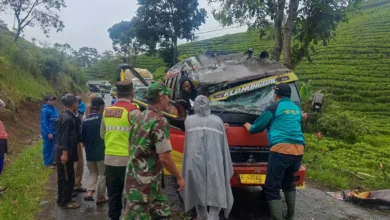 Pohon tumbang menimpa mobil Elf di Sukanagara, Cianjur.