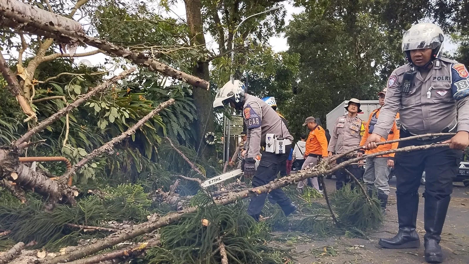 Satlantas Polres Cianjur bergerak cepat menangani pohon tumbang di dua titik jalur utama Cipanas-Cianjur pada Selasa (4/2/2025)