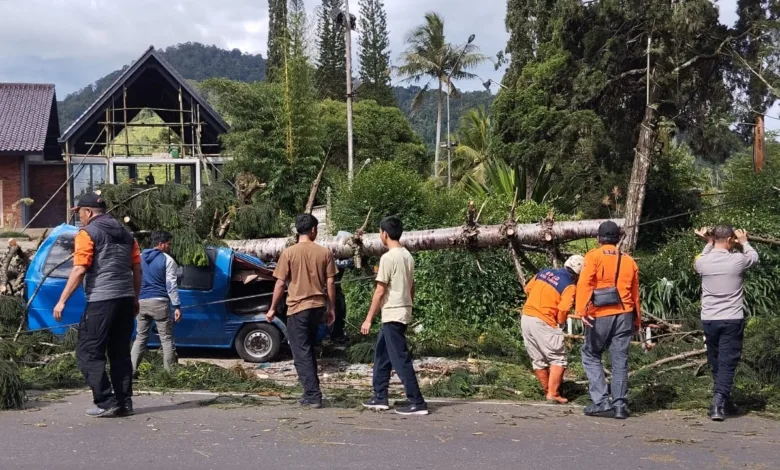 Sebuah angkot di Cipanas-Cianjur ringsek tertimpa pohon tumbang akibat angin kencang.