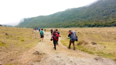 Ribuan Pendaki Ilegal Gunung Gede Pangrango Terjaring Operasi, Sindikat Kupon Palsu Diungkap