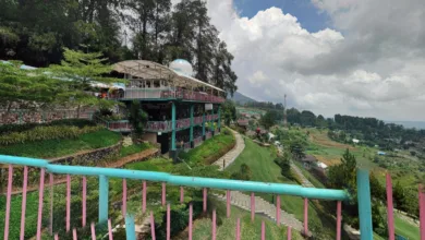 Waspada! Modus Penipuan Google Maps Incar Pengunjung Wisata Alam Sevillage Puncak, Kerugian Jutaan Rupiah