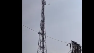 Diduga Alami Gangguan Jiwa, Pria di Cianjur Tewas Usai Lompat dari Tower 70 Meter