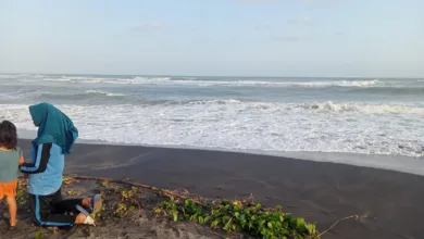 Gelombang pasang setinggi 10 meter menerjang pesisir Cianjur Selatan, merusak fasilitas di Pantai Apra. BPBD melarang aktivitas warga dan wisatawan demi keselamatan.