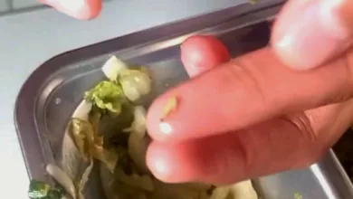 Seorang siswa di Cianjur menemukan ulat dalam makanan dari program Makan Bergizi Gratis (MBG).