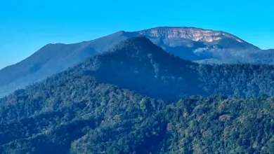 Bupati Cianjur Tantang Proyek Nasional Geothermal, Janji Kembangkan Wisata Alam di Gunung Gede Pangrango