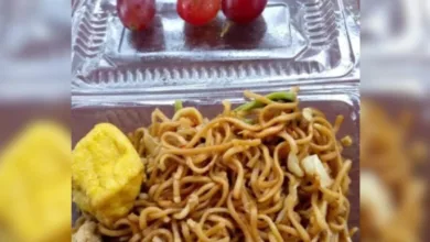 Menu Makan Bergizi Gratis (MBG) di Cianjur yang dikeluhkan orang tua murid: Mi goreng, satu potong tahu kuning, dan hanya tiga butir anggur, disajikan dalam kemasan mika plastik.