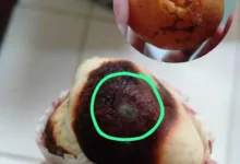 Potret bolu berjamur dan buah busuk yang ditemukan dalam paket MBG di wilayah Cugenang. Temuan ini memicu protes wali murid terkait pengawasan mutu makanan siswa. (Foto: Istimewa)