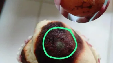 Potret bolu berjamur dan buah busuk yang ditemukan dalam paket MBG di wilayah Cugenang. Temuan ini memicu protes wali murid terkait pengawasan mutu makanan siswa. (Foto: Istimewa)