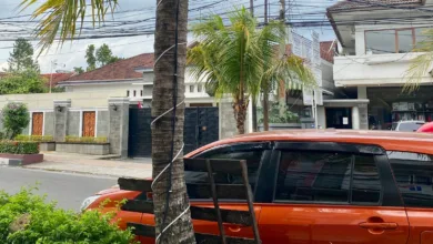 Kondisi instalasi kabel dan panel kontrol lampu hias yang terpasang di batang pohon di pinggir jalan protokol Cianjur, Senin (15/12/2025). Posisi panel yang rendah menjadi perhatian Dinas Perkim untuk segera melakukan pengamanan ekstra agar tidak membahayakan warga, terutama anak-anak.