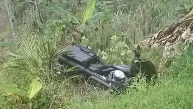 Sebuah motor gede (moge) Harley Davidson terperosok ke area rerumputan di Jalur Jabar Selatan, Kecamatan Agrabinta, Cianjur, usai gagal menyalip.