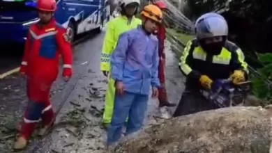 Satlantas Polres Cianjur, BPBD, dan Damkar melakukan evakuasi pohon tumbang di Jalan Raya Puncak–Cianjur, kawasan Ciloto, Kecamatan Cipanas, Minggu (18/1/2026).
