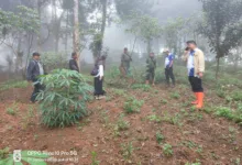 Pemerintah Desa Cibanteng bersama pihak kecamatan dan pengelola hutan desa melakukan verifikasi ulang serta pemetaan kawasan hutan seluas 600 hektar di wilayah Kecamatan Sukaresmi, Cianjur.