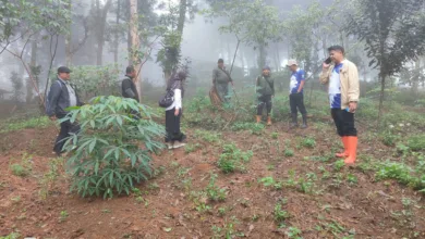 Pemerintah Desa Cibanteng bersama pihak kecamatan dan pengelola hutan desa melakukan verifikasi ulang serta pemetaan kawasan hutan seluas 600 hektar di wilayah Kecamatan Sukaresmi, Cianjur.