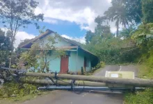 Tiang listrik tumbang akibat diterjang angin kencang hingga menutup akses jalan utama Desa Wangunjaya, Kecamatan Cugenang, Cianjur.