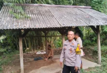 Petugas kecamatan bersama aparat dan warga saat melakukan penanganan terhadap diduga ODGJ yang sempat dipasung di Kampung Cipendeuey, Desa Nagasari, Kecamatan Leles, Kabupaten Cianjur. (Foto: Istimewa)